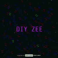 DIY ZEE