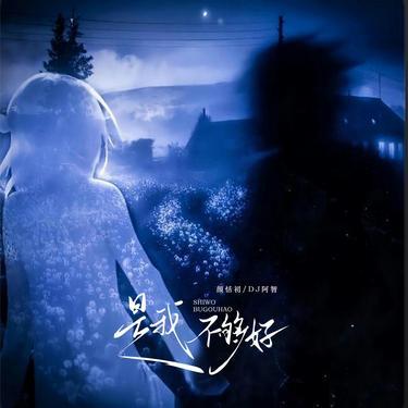 是我不够好 (DJ版)封面