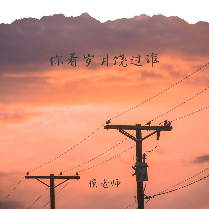 你看岁月饶过谁封面