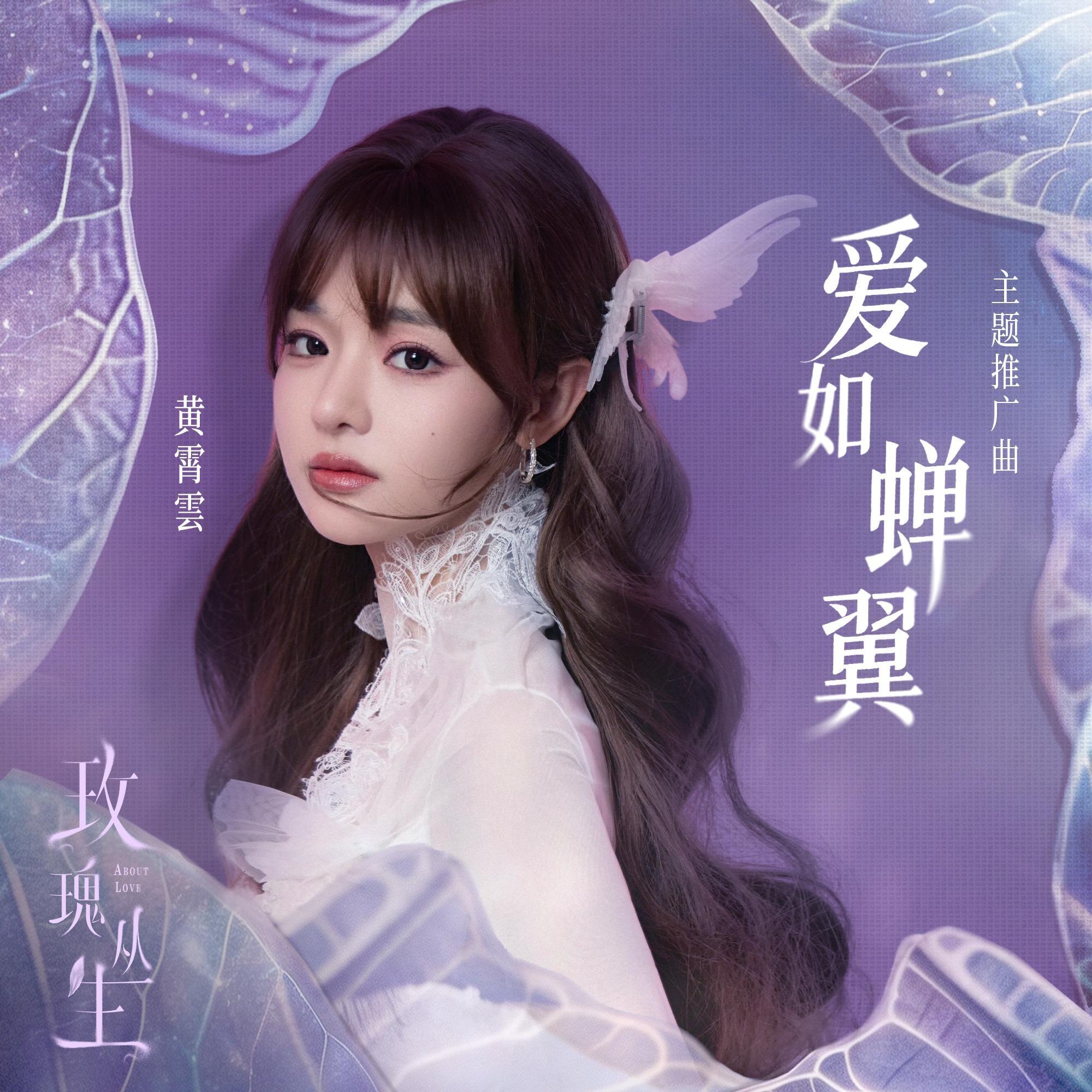 爱如蝉翼
