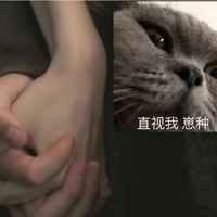 聂天TNT.