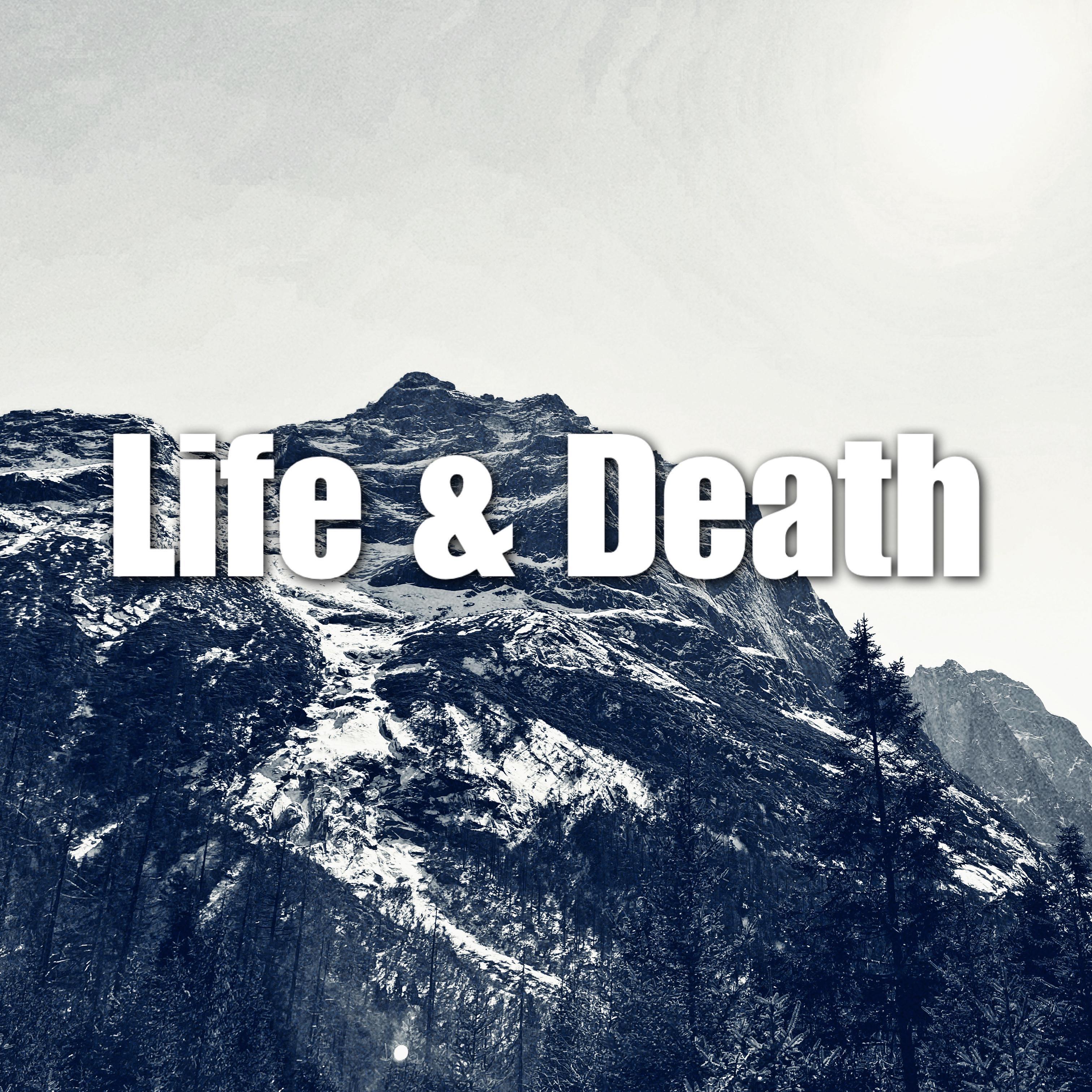 Life & Death (Instrumental)