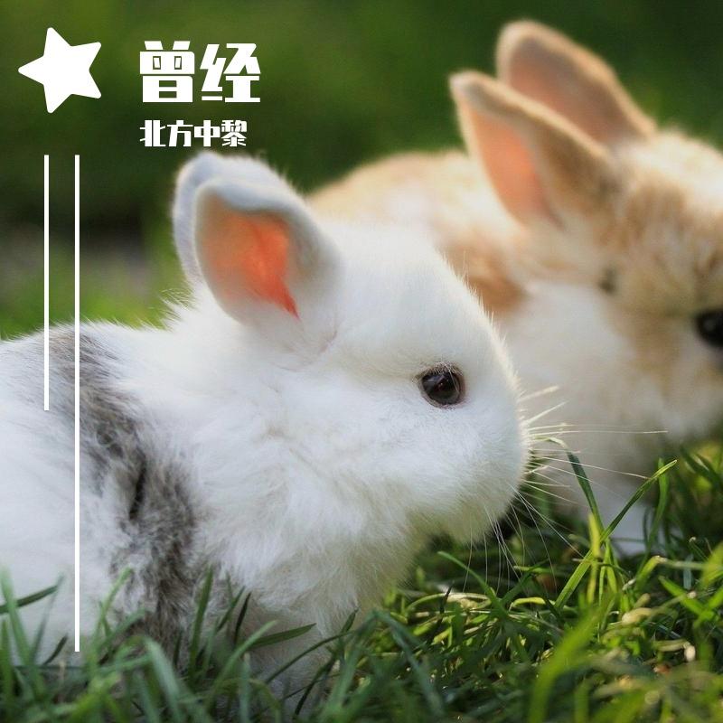 优雅永不过时封面
