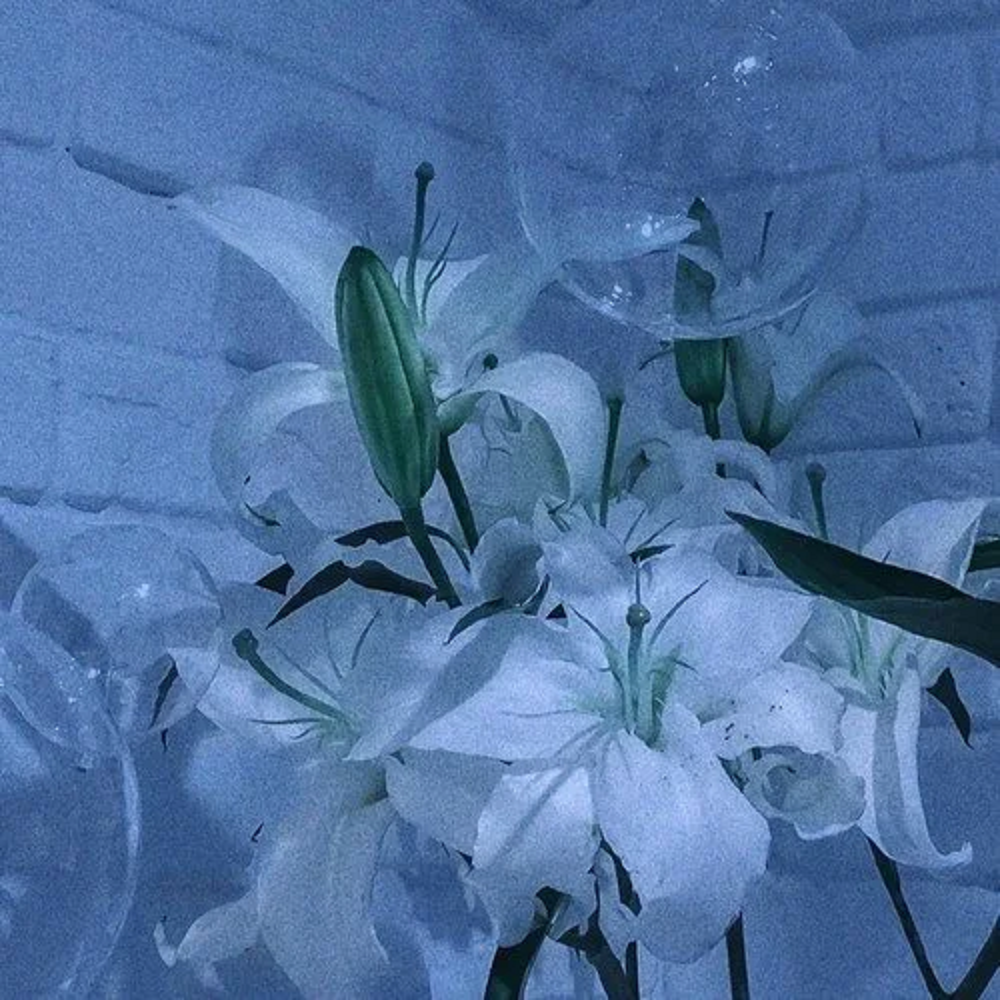 我配不上你（片段）封面