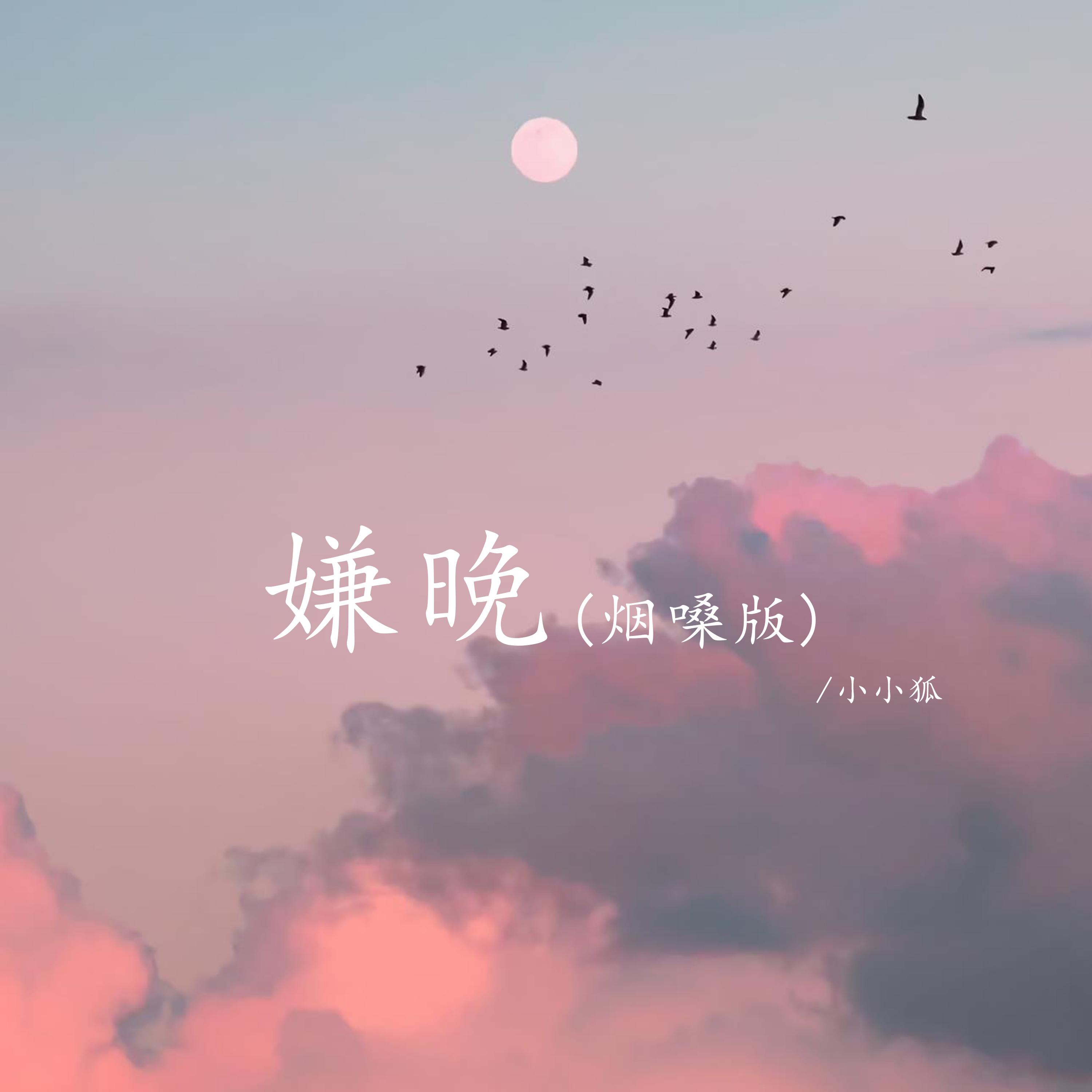 嫌晚 (烟嗓版)封面