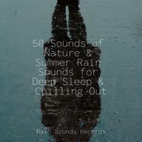 50 Sounds of Nature & Summer Rain Sounds for Deep Sleep & Chilling Out