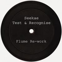 Test & Recognise (Flume Re-work)