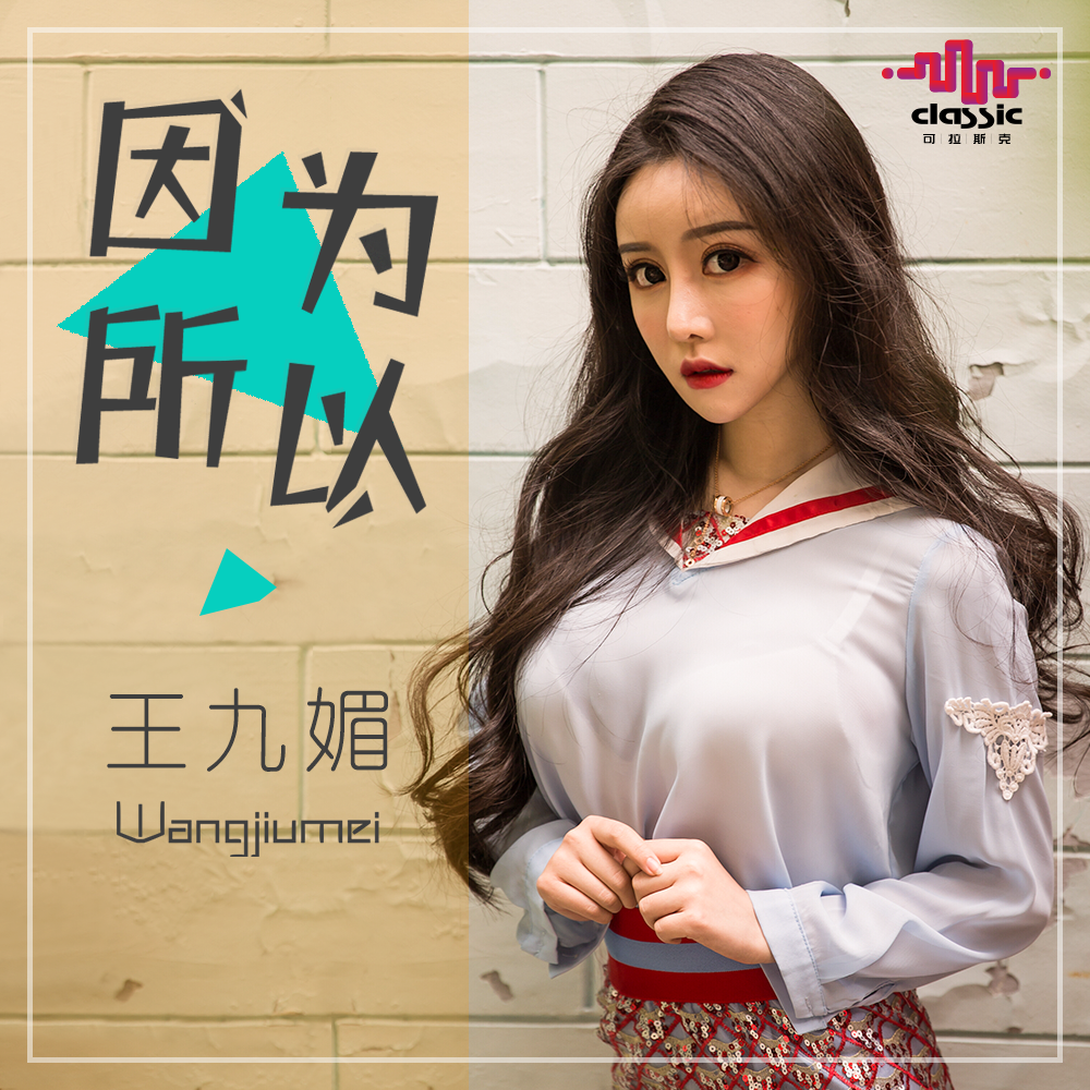 因为所以封面