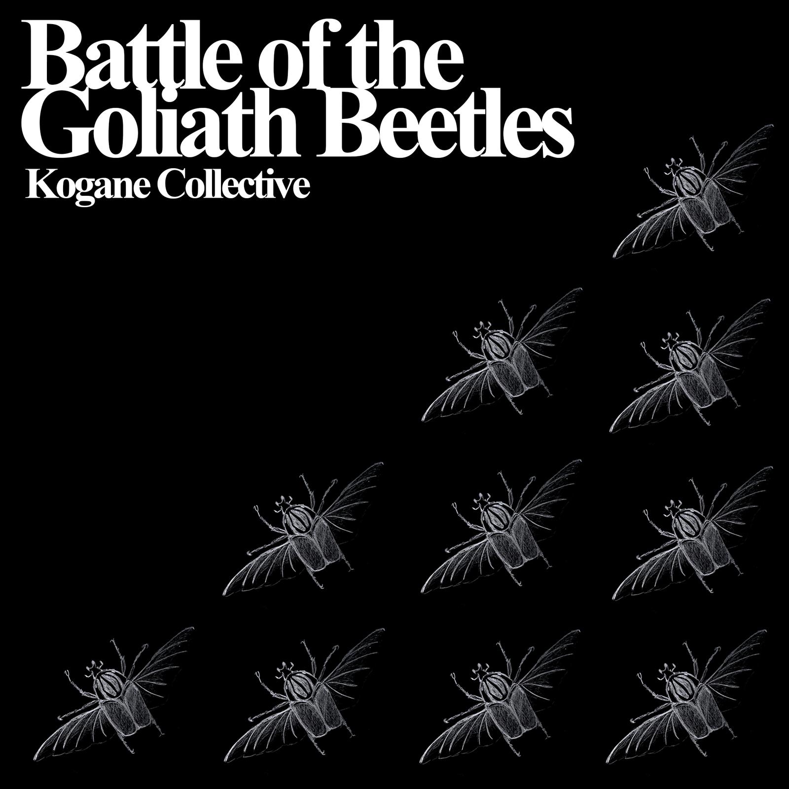 Night flight of the luna moth