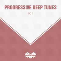 Progressive Deep Tunes