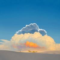 挽风 - 春来鸟(挽风&学霸翻唱版本).mp3