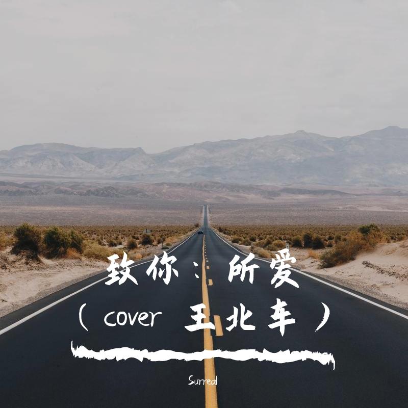 致你：所爱封面