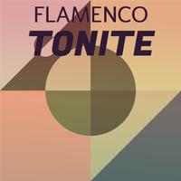 Flamenco Tonite