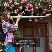 Didgeridoo Tribal Meditation Collection, Vol. 02