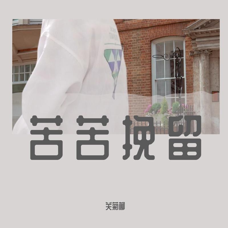 苦苦挽留封面