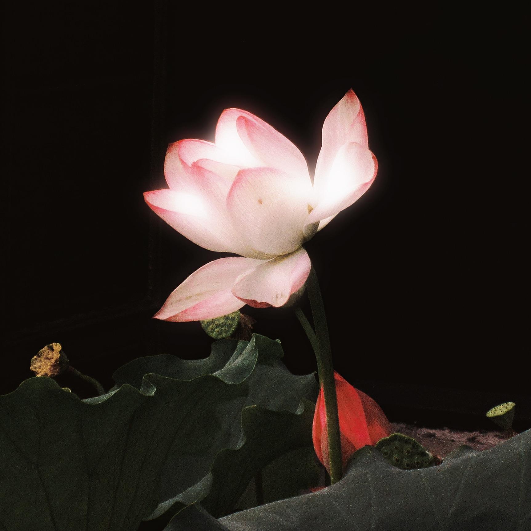 共泽