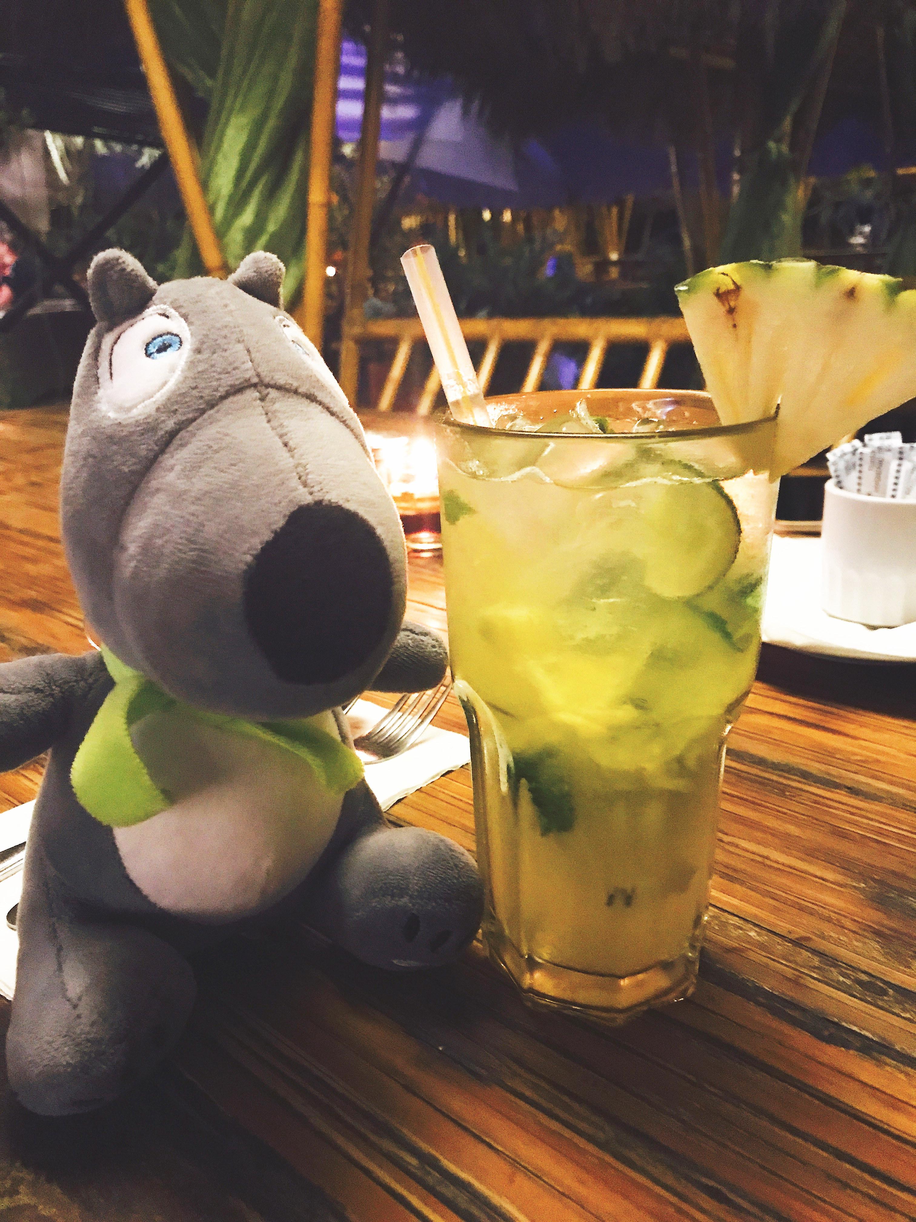 带着大叔去旅行