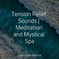 Tension Relief Sounds | Meditation and Mystical Spa