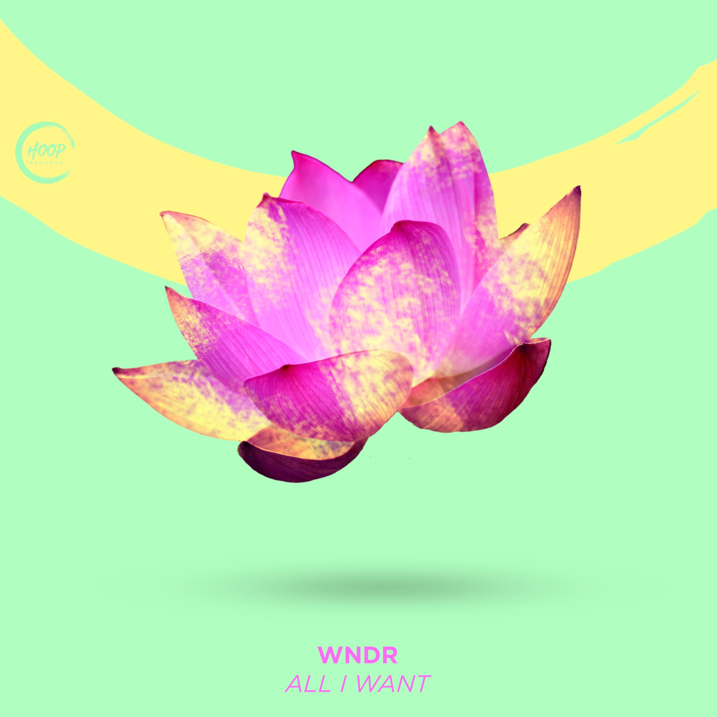 All I Want (Extended Mix)