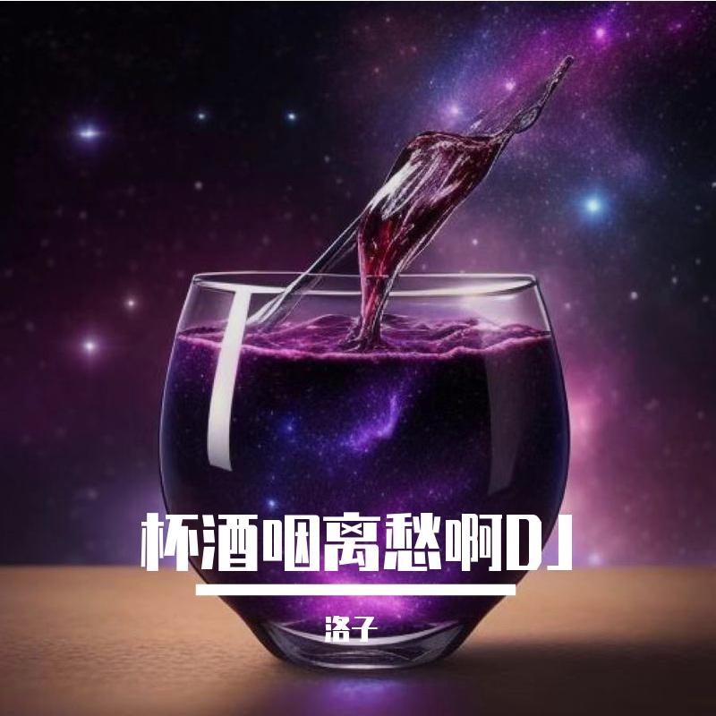 什么是逍遥DJ环绕版封面