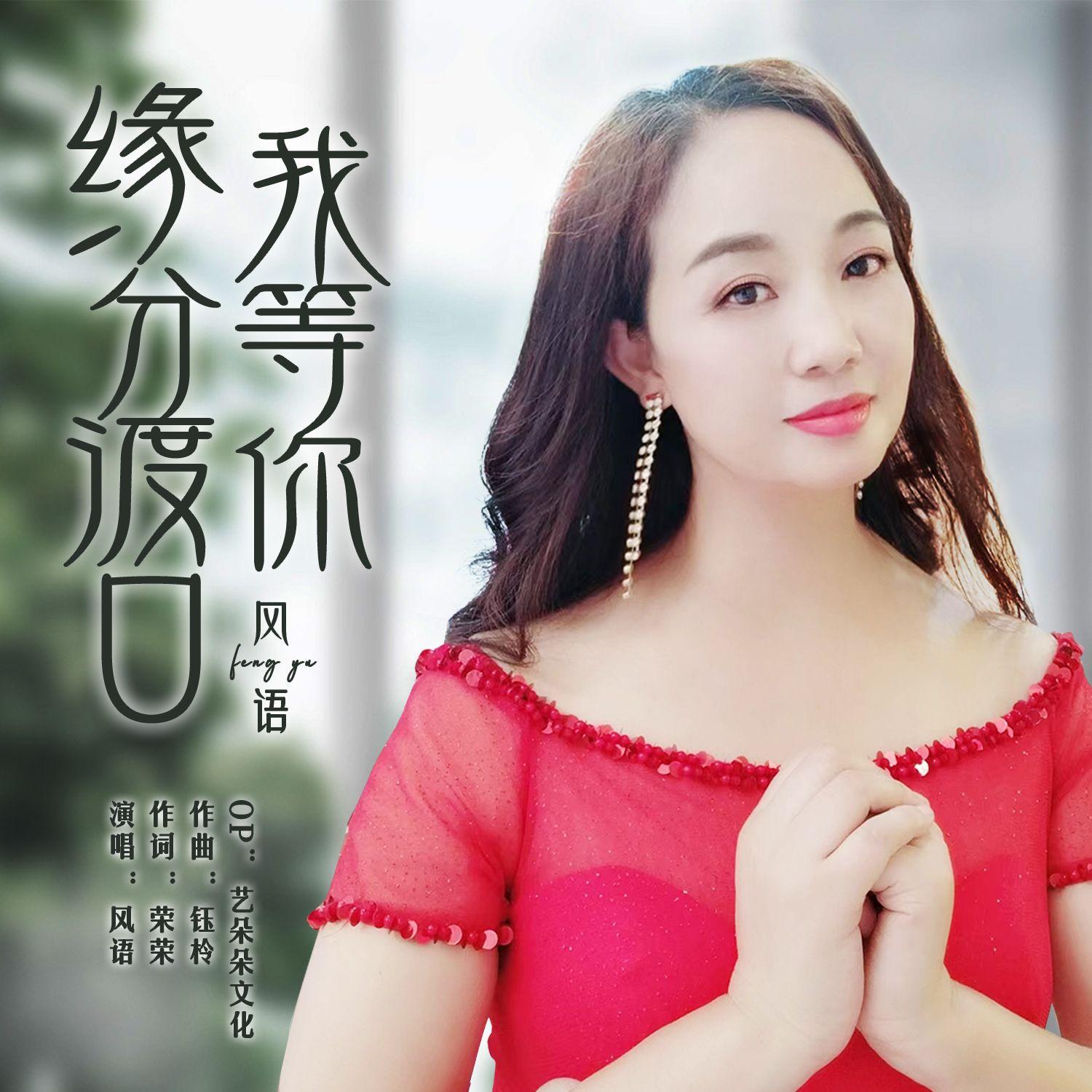 缘分渡口我等你 (DJ版伴奏) - 风语封面