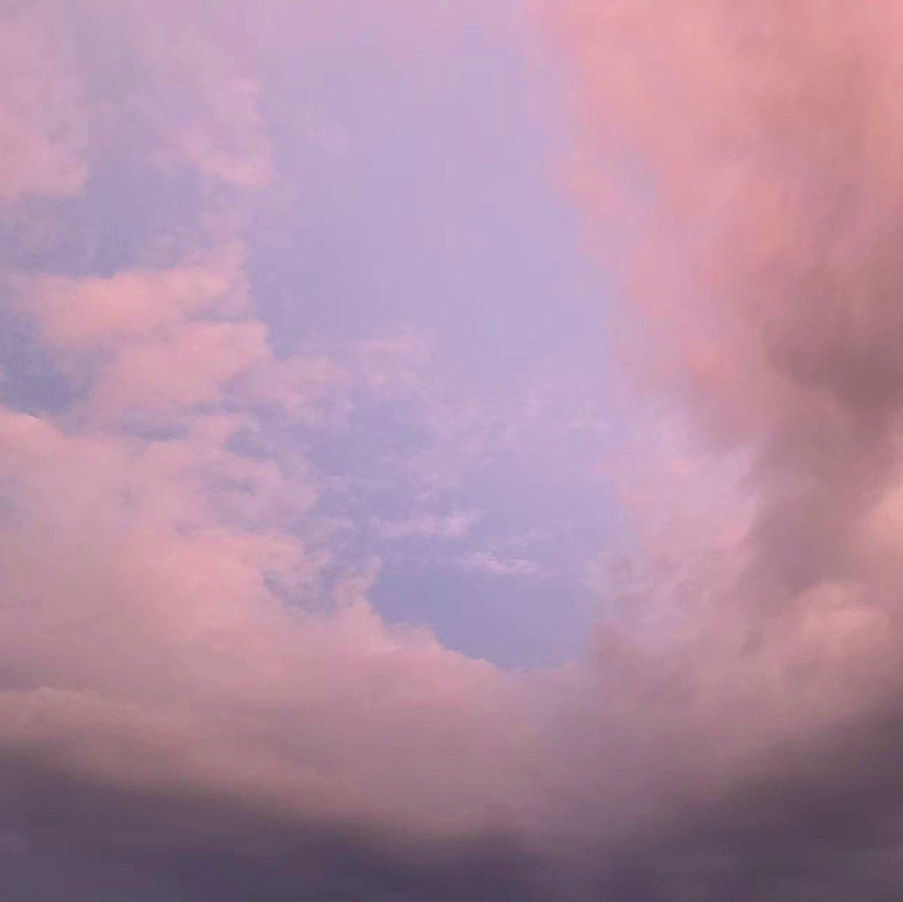 流浪的猫写情诗