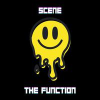 THE FUNCTION