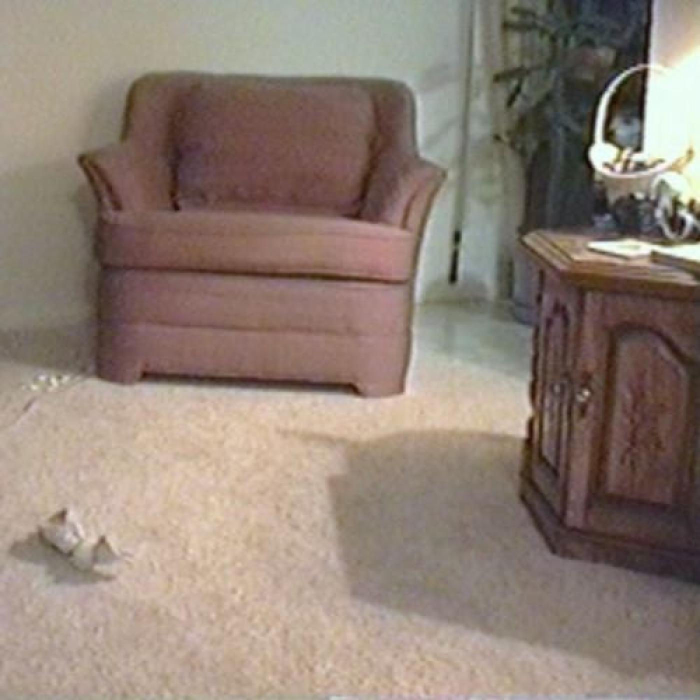 SuddenlyEveryWordMadeSense