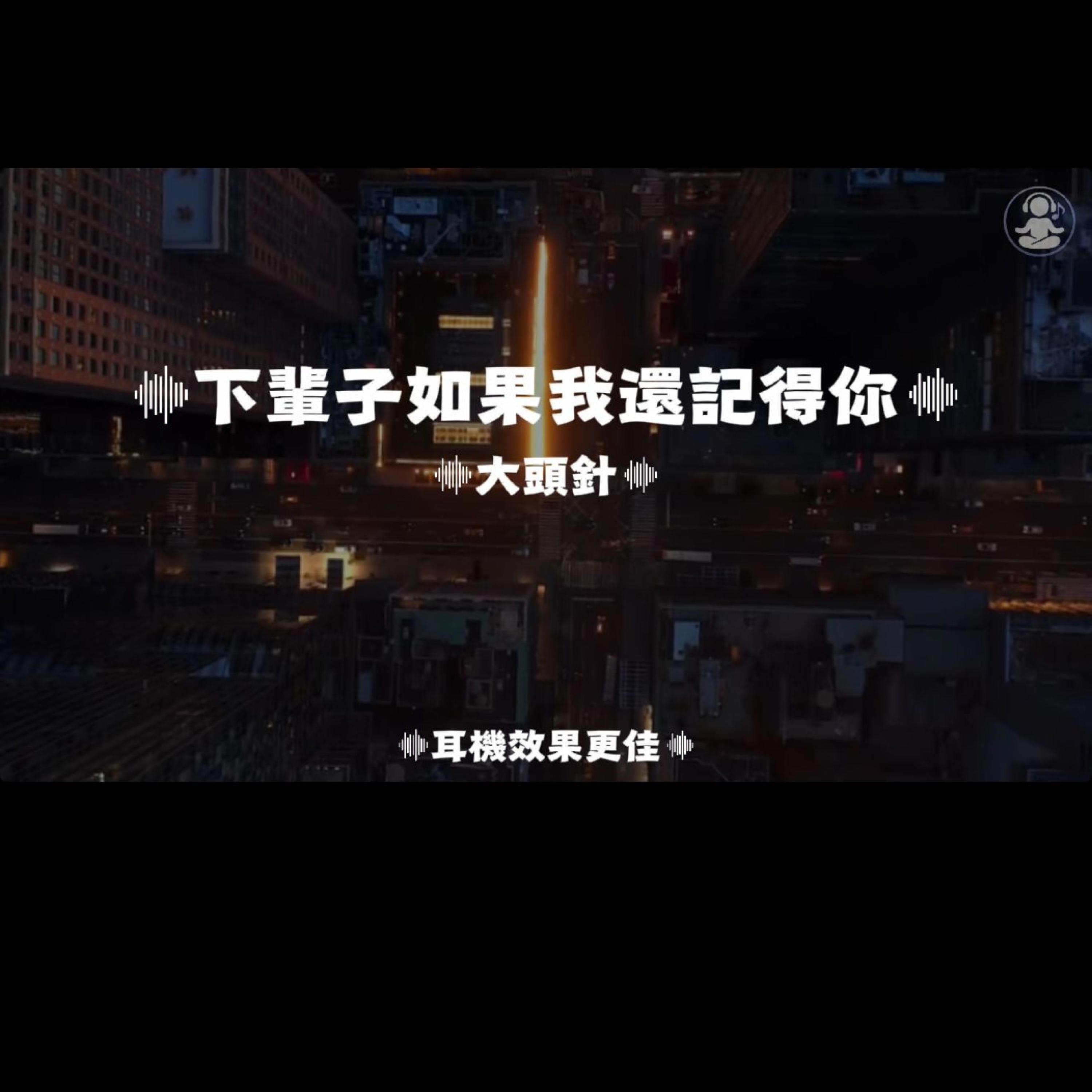 下輩子如果我還記得你/大頭針封面