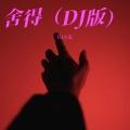 舍得 (DJ版)封面