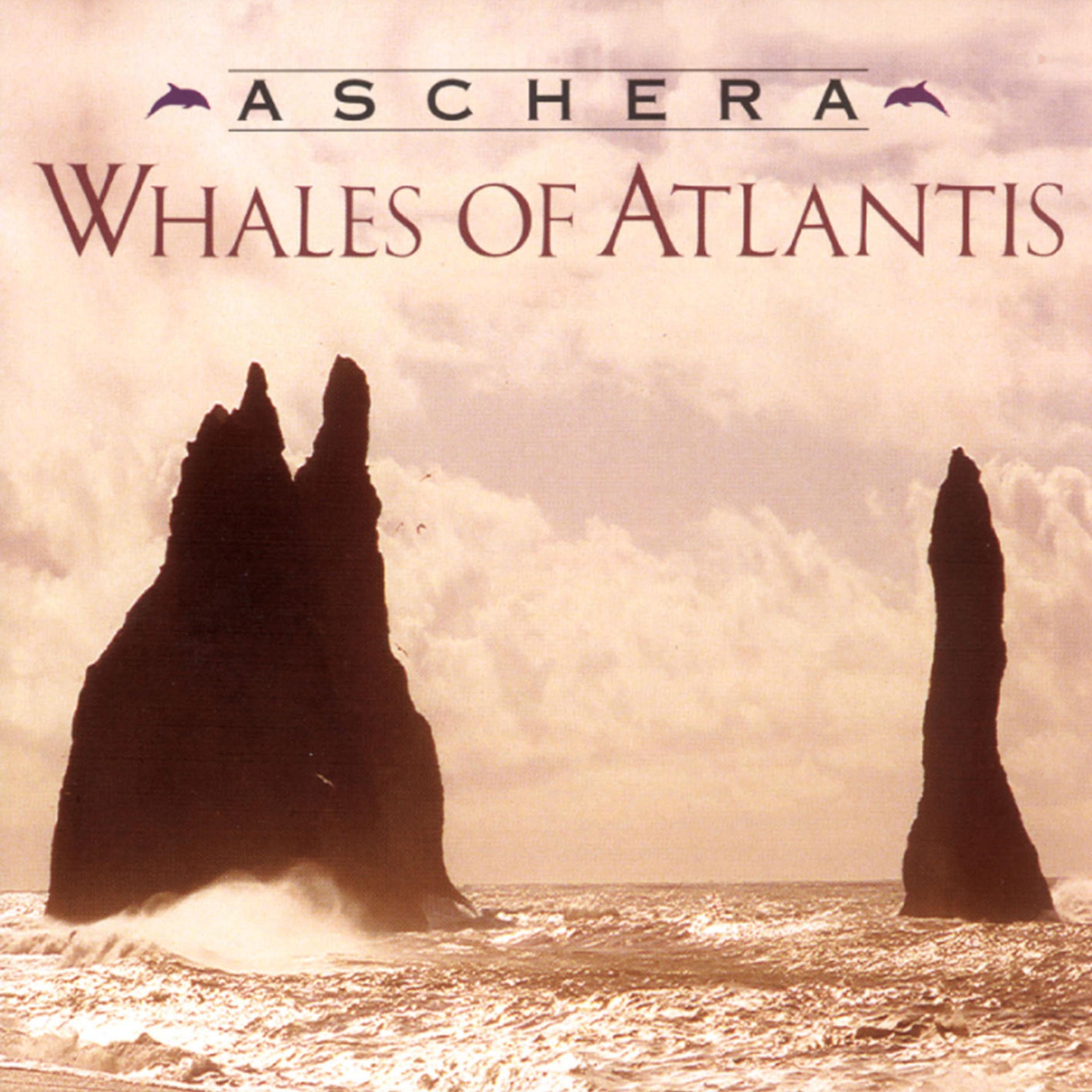 Whales Of Atlantis_Aschera_Whales Of Atlantis | 在线播放_Whales Of Atlantis歌词_Whales Of Atlantis下载 | 网易云音乐