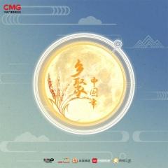 岁欲晚·画年 (Live)