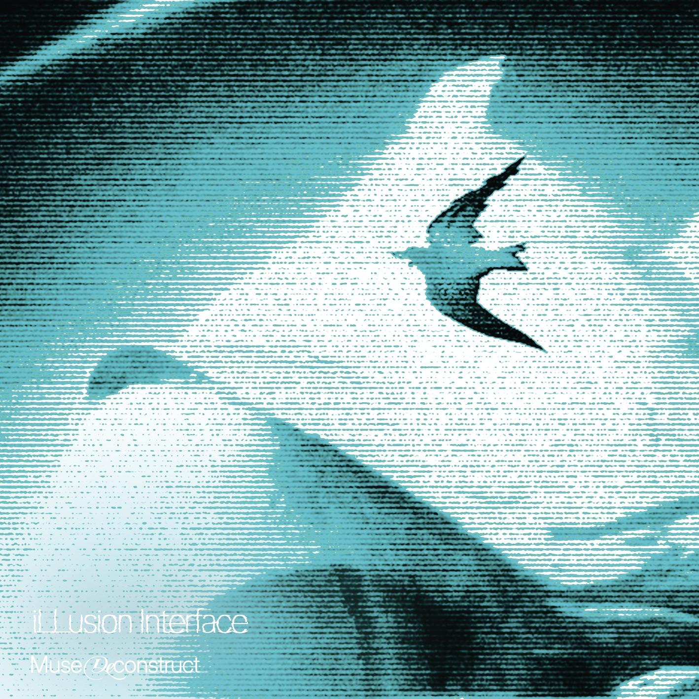 Freesia（香雪兰）