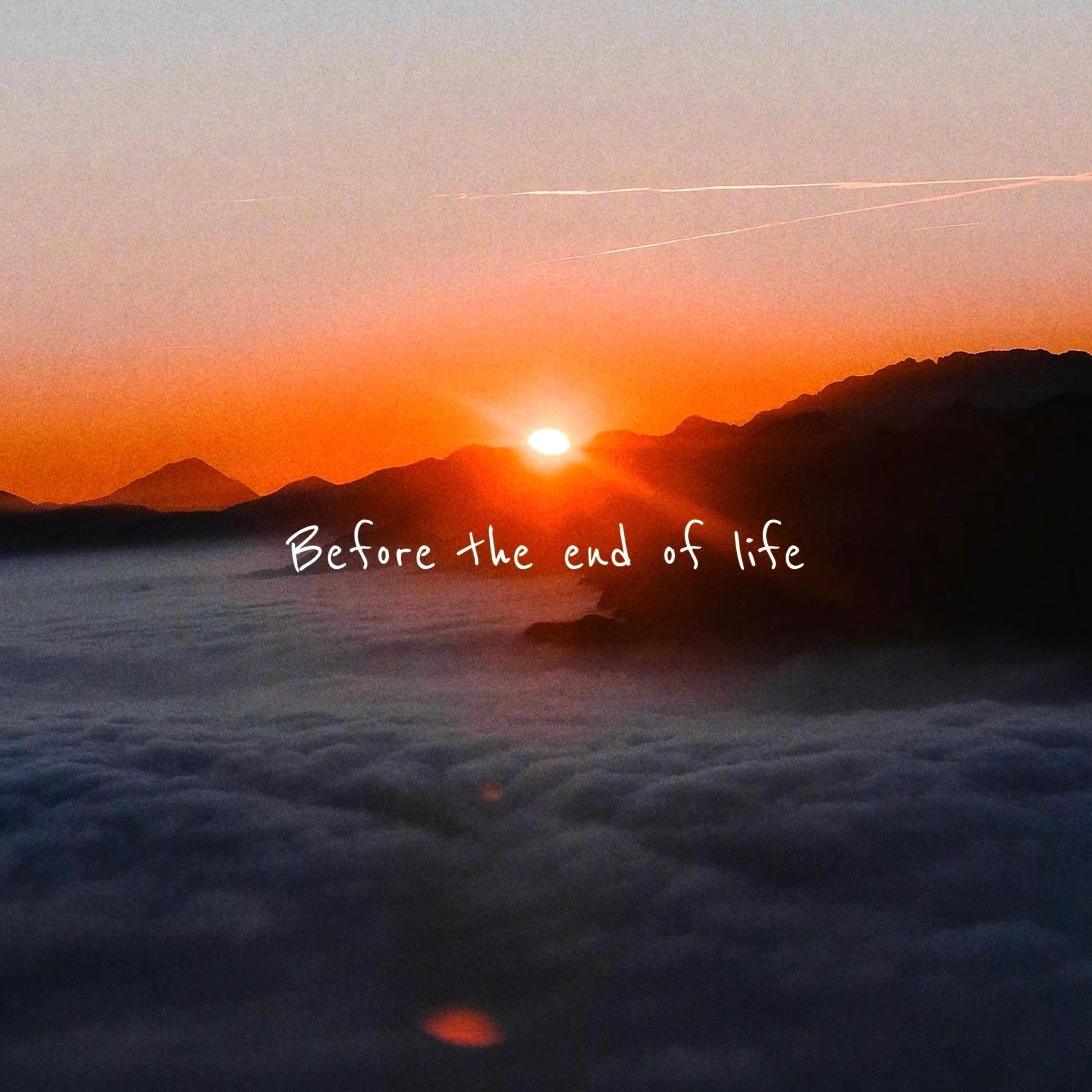 在生命结束之前