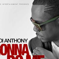 Roi Anthony