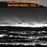 Chilling Night Breeze Nature Music, Vol. 3