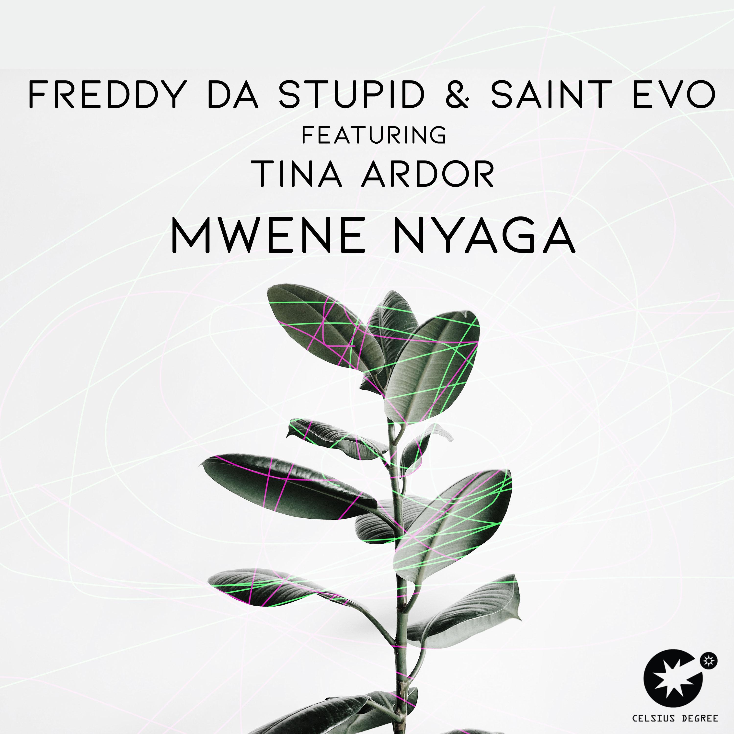 Mwene Nyaga (Original Mix)