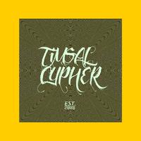 TIMSAL CYPHER