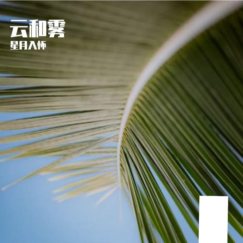沙漠之音封面