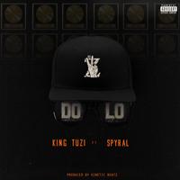 Dolo (feat. Spyral)