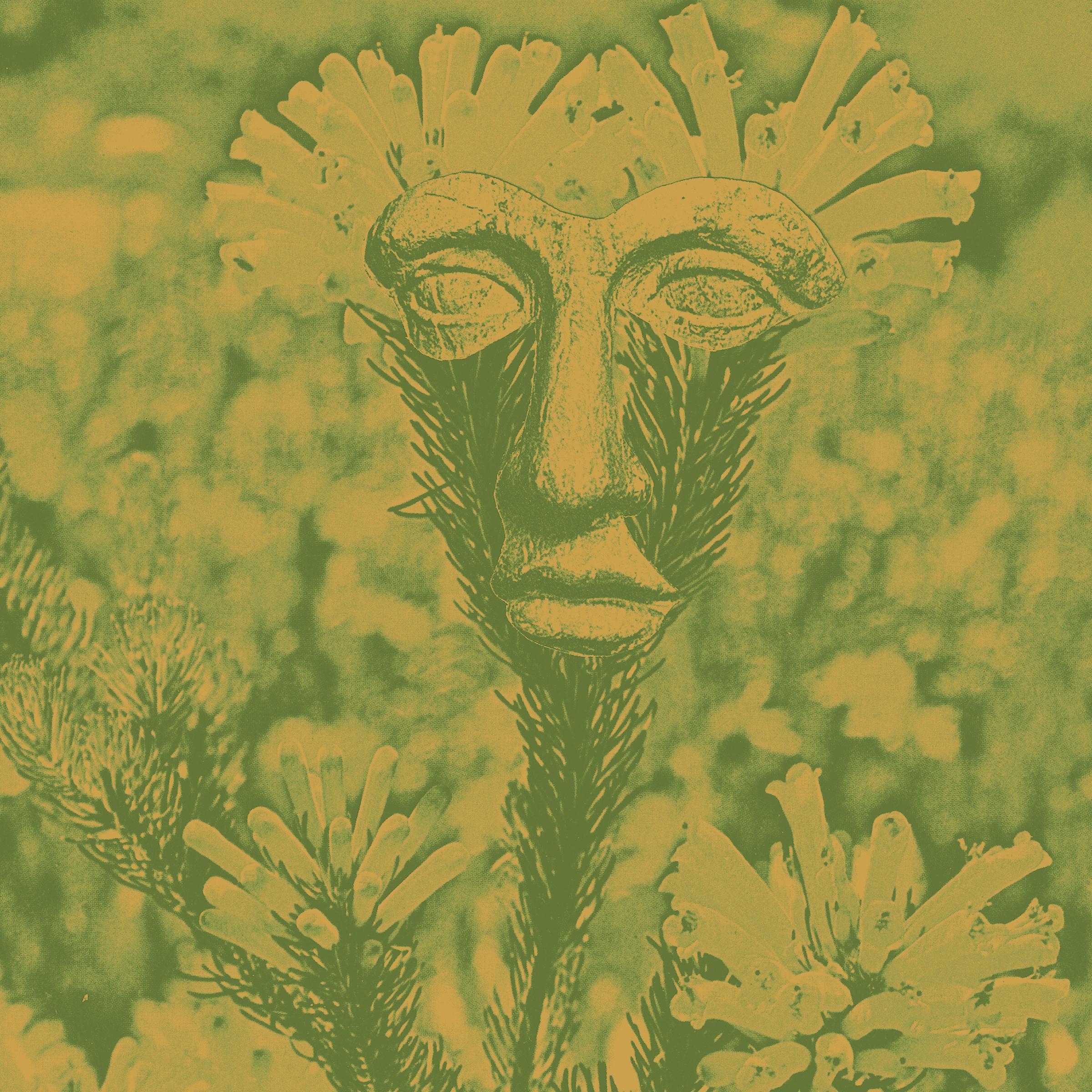 Que? (Olsvangèr Wildwood Dub)