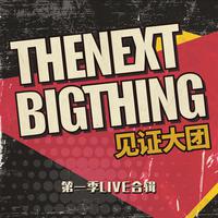 The Next Big Thing 见证大团 第一季LIVE合辑