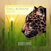 Chill & House Cutz