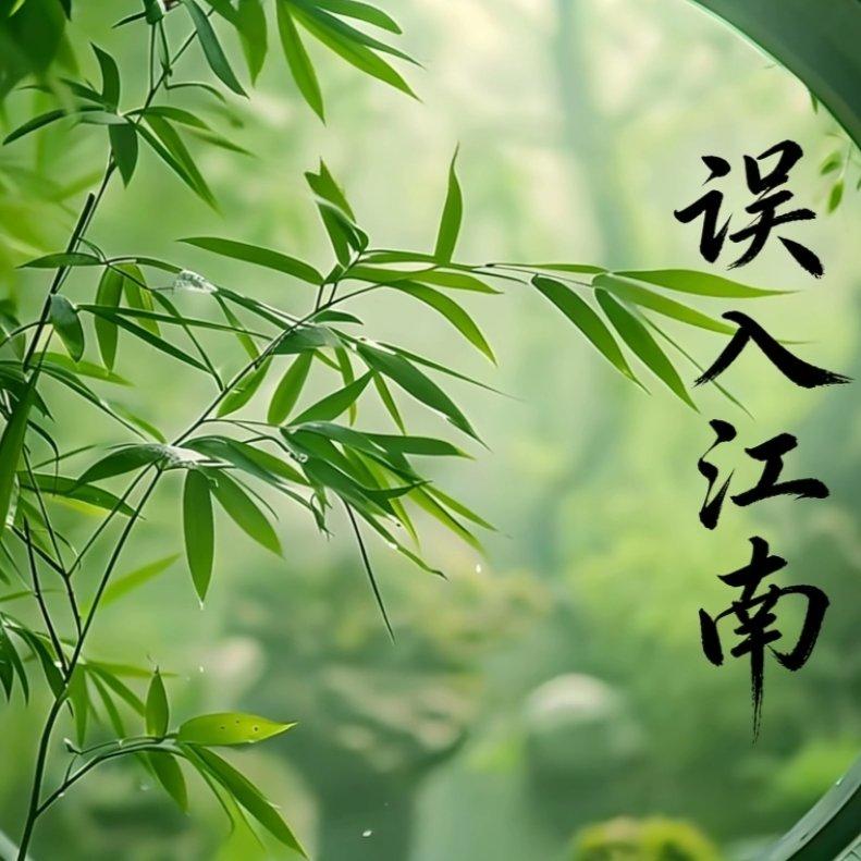 江南落花(传统古风版)封面