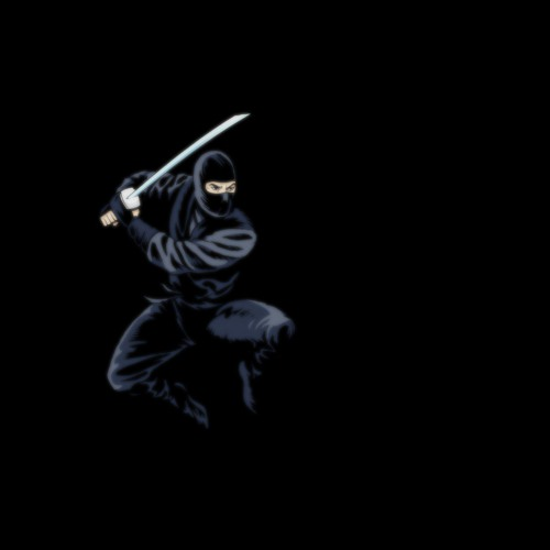 Ninja