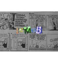 iC MOB