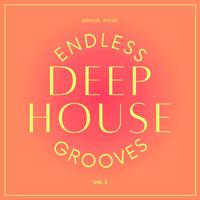 Endless Deep-House Grooves, Vol. 3