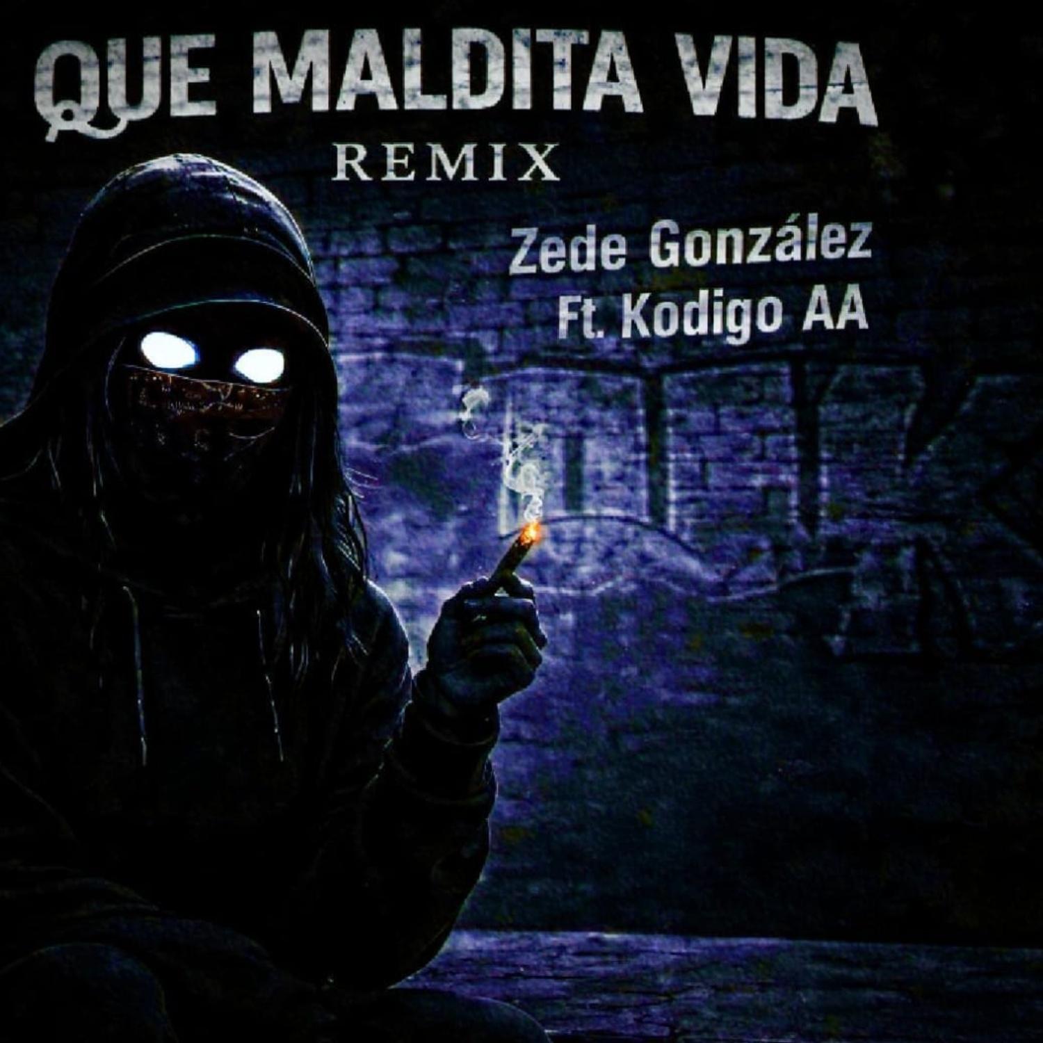 Que Maldita Vida (Remix)