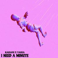 I Need a Minute (feat. Kaisani)