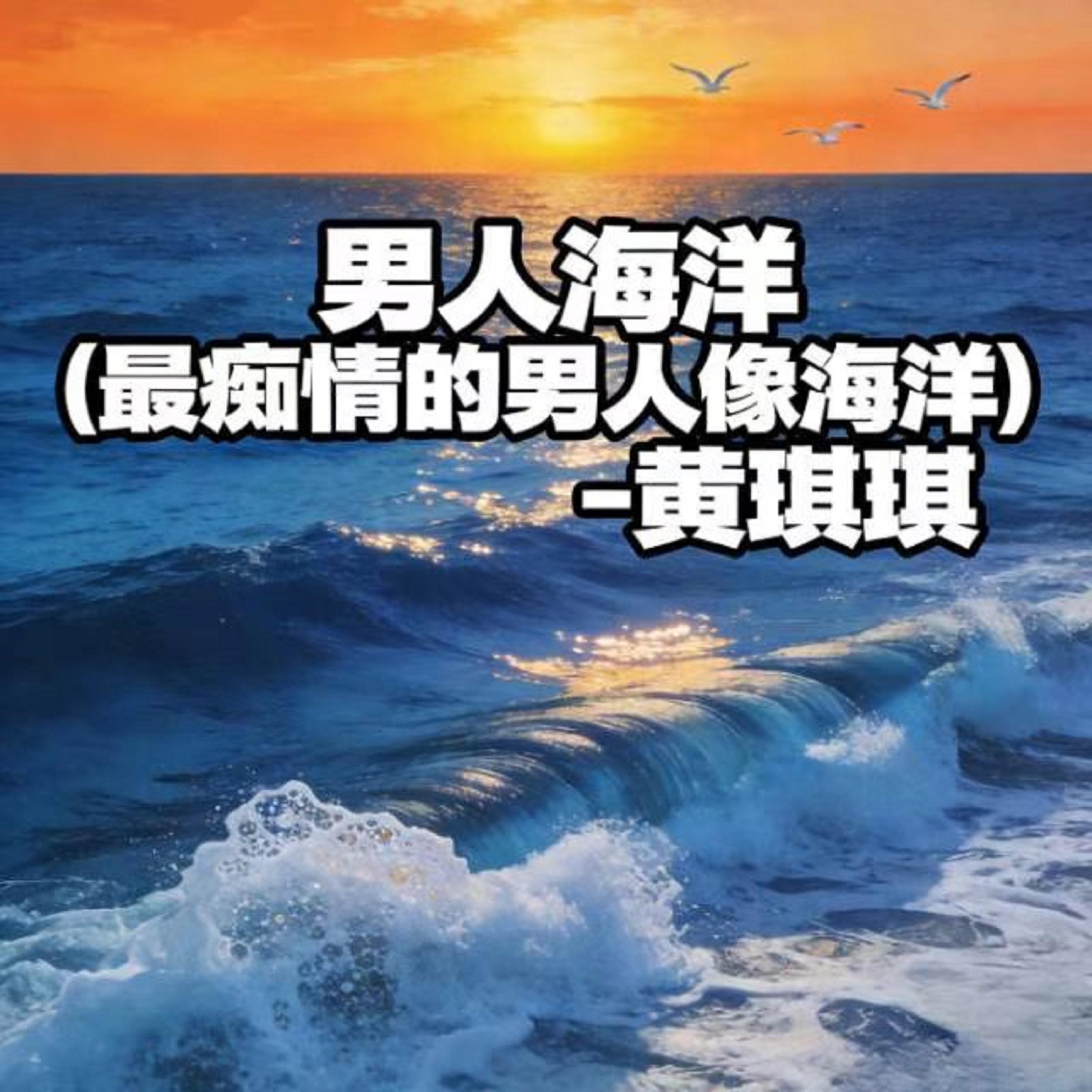 男人海洋 (烟嗓版)封面